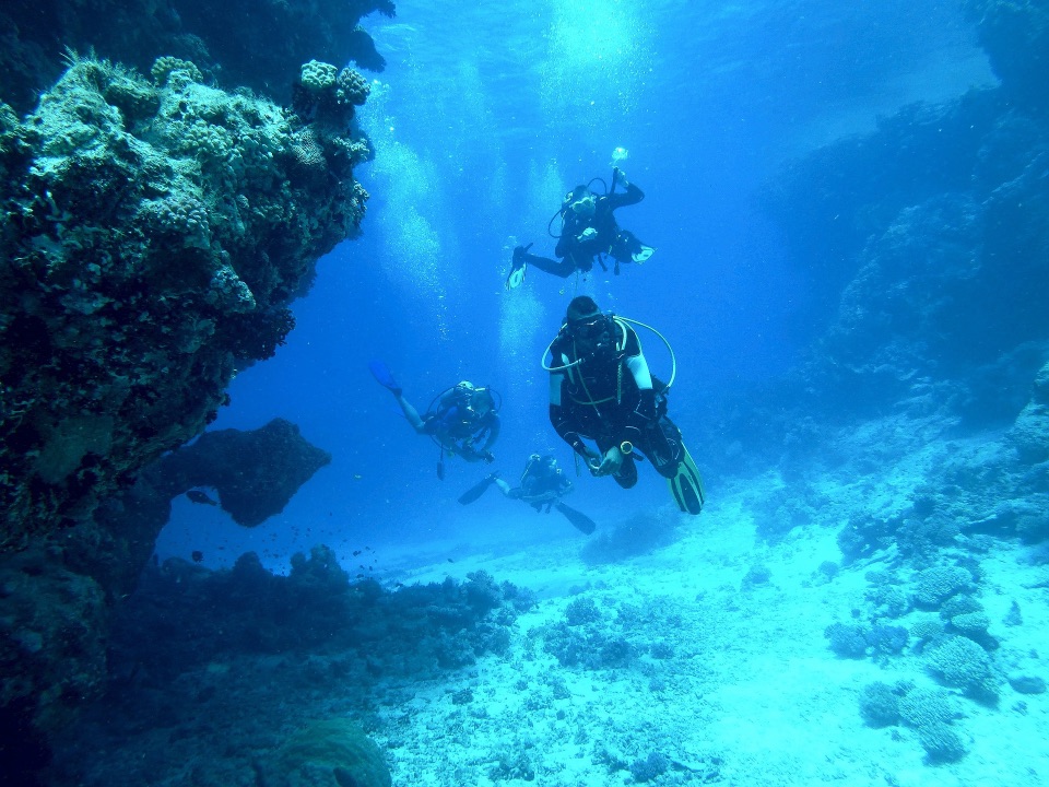 Vier Taucher im Meer