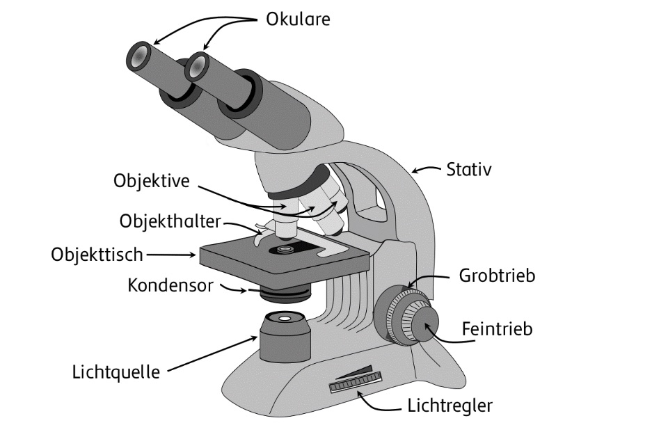 Mikroskop